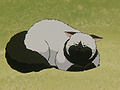Admiral the cat on floor (BD).jpg