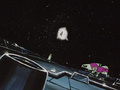 Thumbnail for version as of 05:37, 17 December 2011